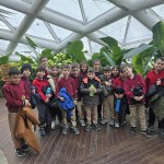 WhatsApp Image 2025-12-25 at 11.46.02 (1)