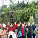 WhatsApp Image 2025-12-25 at 11.46.02