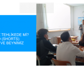 Dikkatimiz Tehlikede mi? Kısa Video (Shorts) Kullanımı ve Beynimiz