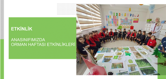 Anasınıfımızda Orman Haftası Etkinlikleri